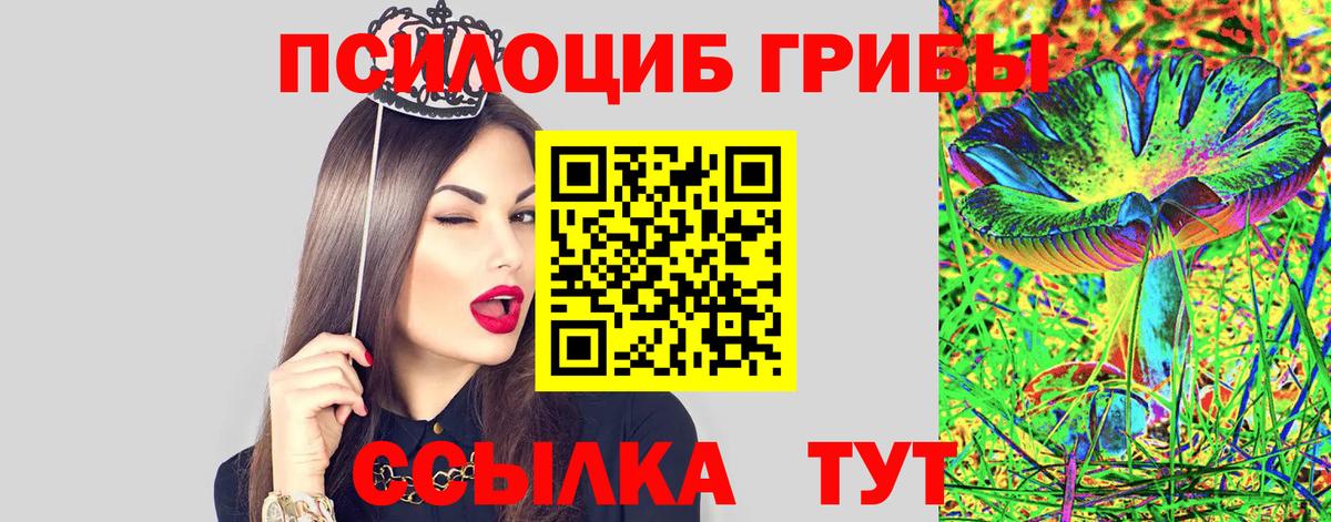 Псилоцибиновые грибы Psilocybe Ачинск