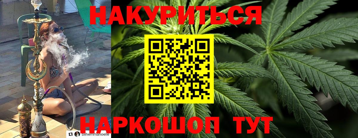 Бошки марихуана планчик  Бошки Шишки гибрид  Вход с VPN  Ачинск  Канабис семена  Бошки Шишки Bruce Banner 
